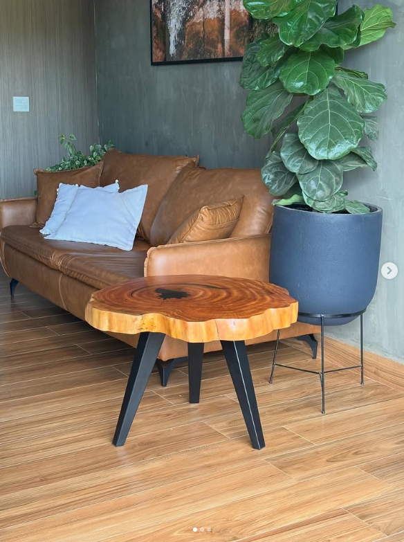 Galeria 5